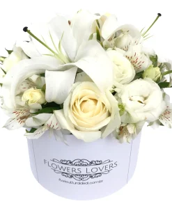 Box Flower White