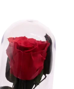 Alternative view of Kit Louco Amor