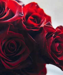 Alternative view of Buquê de Rosas Vermelhas c/ 6un